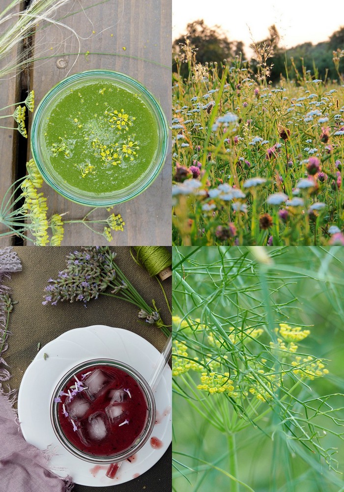 Agua Fresca – 3 Rezepte für diesen erfrischenden Sommerdrink ... Agua Fresca – 3 Rezepte für diesen erfrischenden Sommerdrink ...