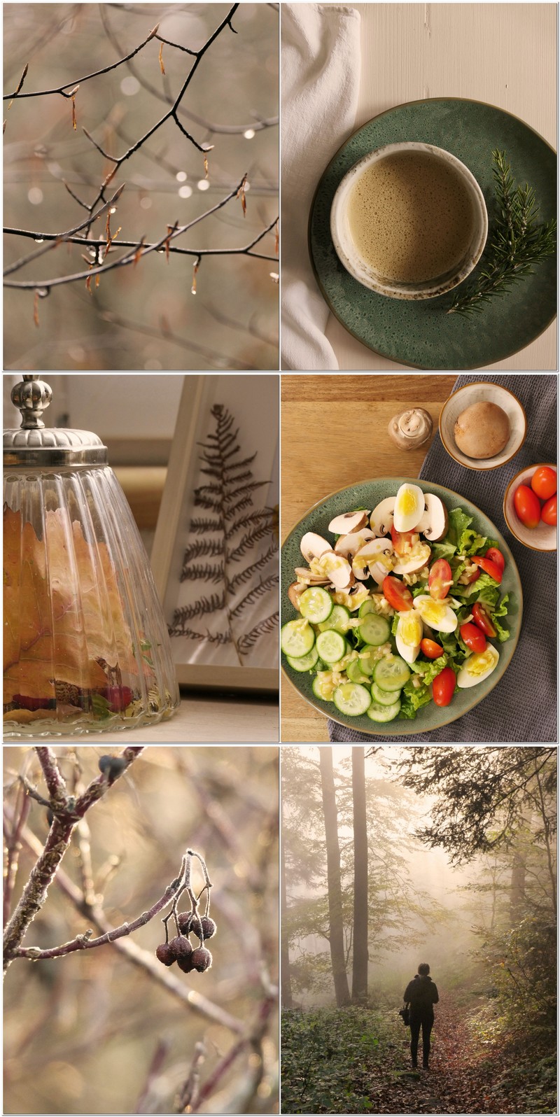 Keto Glow Woche
Keto Reset, Keto Frühstück,