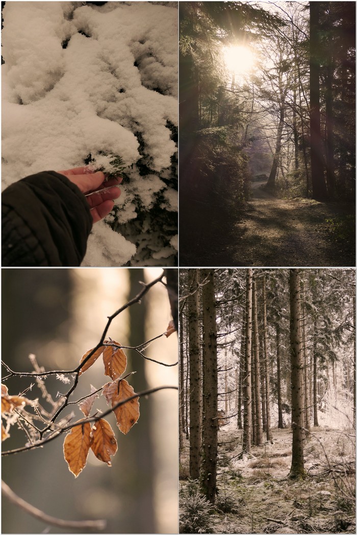 Erdung wirkt direkt auf Stress & innere Unruhe