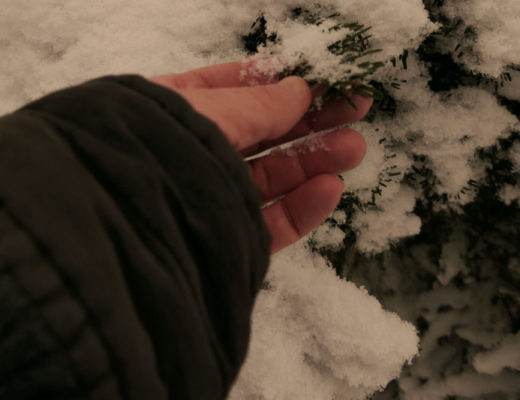 Kleine Rituale für mehr Naturverbundenheit im Alltag