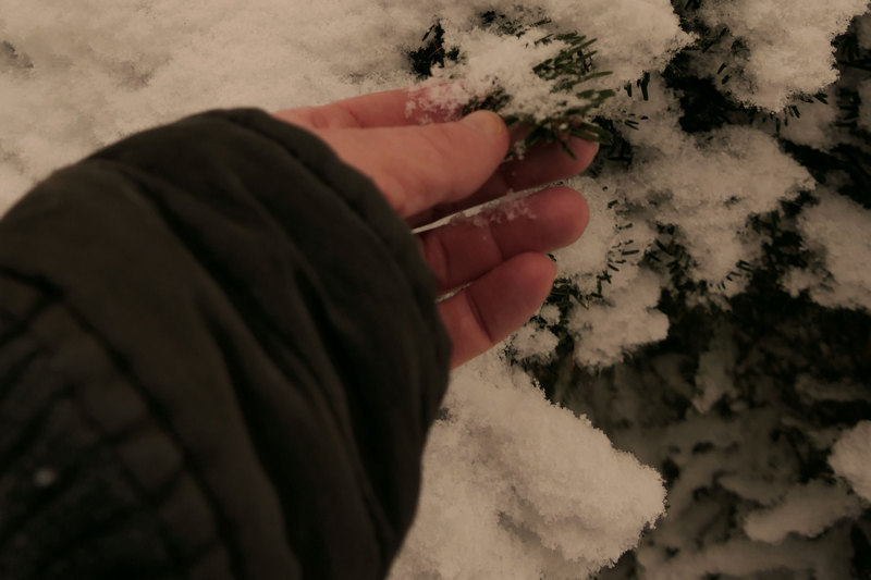 Kleine Rituale für mehr Naturverbundenheit im Alltag