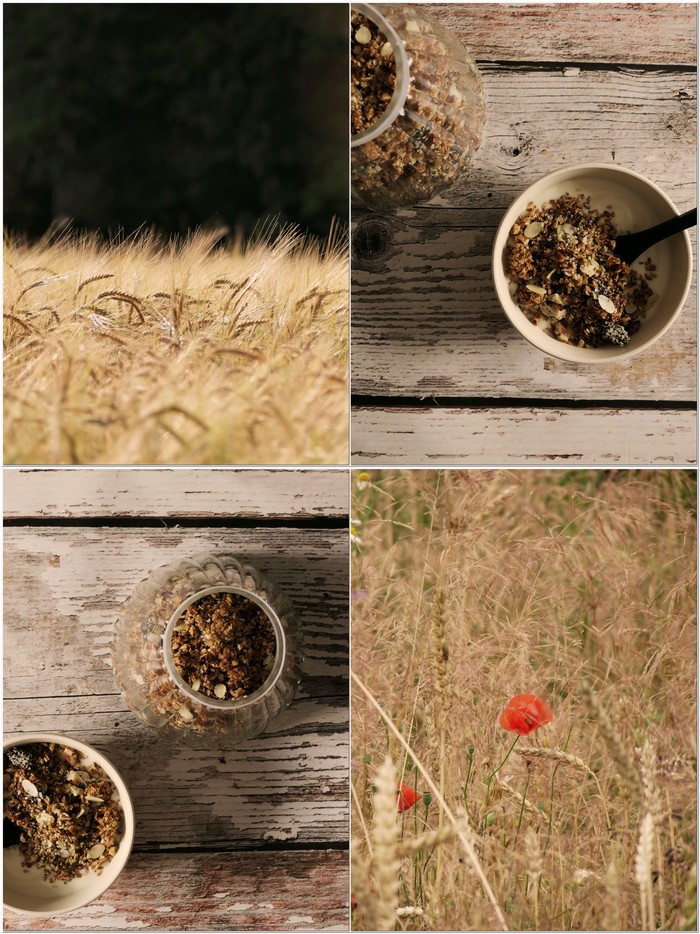 Knuspriges Buchweizenmüsli mit Pekannüssen und Trockenpflaumen